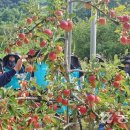 김경식 농장 이미지