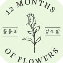 꽃들의열두달