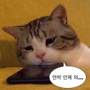 동락다방
