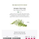 비사쥬