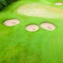 티샷 골프연습장 이미지