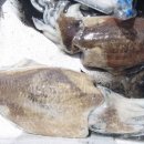 구로고등학교 이미지