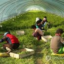 의령모텔 이미지