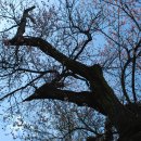 선비뜨락 이미지