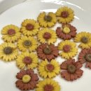 어화댕댕 이미지