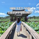 금암리공중화장실 | 부산근교 힐링 여행 경북 청도 유등지 9월초가볼만한곳