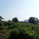 강화읍-5 이미지