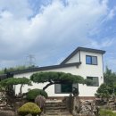 강타펜션 | 옥천 펜션 내돈내산 :: [봄날펜션] / [장령산자연휴양림]