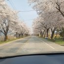 경석농장 이미지