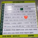 페이버에스테틱 네이버블로그