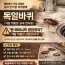 에스에스사업단