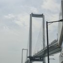 하늘대로 | 인천 청라하늘대교 [더스카이184] 방문 후기