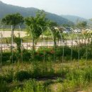 동강리오토캠핑장 이미지