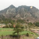 석곡(화산) 이미지