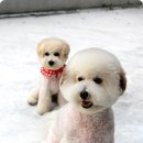 뭉치쌀롱 이미지