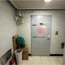 디에스더웰가 이미지