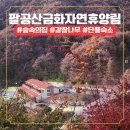 자연휴양림 입구 | 가족과 함께 떠난 숲속 여행, 팔공산 금화자연휴양림 예약부터 후기까지