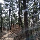 근흥초등학교 이미지