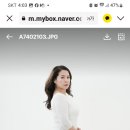숄든