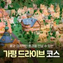 서울에서 1시간! 가평 드라이브 여행 추천 :: 자라섬 꽃정원부터 쁘띠프랑스까지