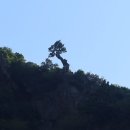 울릉도 [육로관광(A코스), 독도 ] 이미지