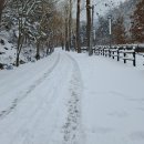 보문산오거리 이미지