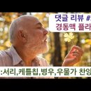 댓글 리뷰 #24: 킬레이션 치료를 통해서 경동맥 플라크 치료가 가능할까? 이미지