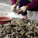 종현어촌마을 이미지