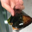 소소김밥 이미지