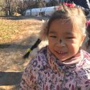 구립은행나무어린이집 이미지