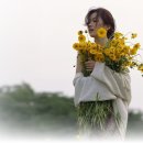 꽃잎