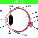 신사약국 네이버블로그