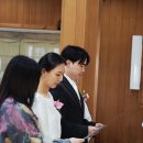 25.11.15일주영자안젤리나님의 자제분 혼인식(김상훈프란치스코 살레시오,백다영 율리아) 이미지