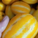 성원농장 이미지