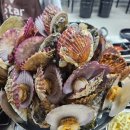 신조개천국 | 부천역 맛집 조개구이 조개찜 무한리필 🦪 신조개천국 본점