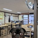 행림약국 이미지