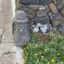 카프리애월민박 이미지