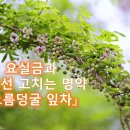 변강쇠를 놀라게 한 『으름덩굴』 이미지