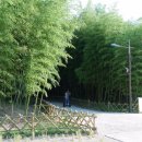 대나무생태원 화장실 이미지