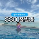 에스에스디 | 경주오션뷰 독채 풀빌라 애견동반 가능한 SSD