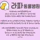 라파동물병원 이미지