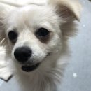 현대동물병원 이미지