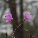 신릉근린공원 이미지