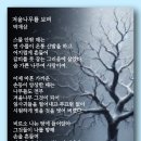 겨울나무를 보며 - 박재삼 이미지