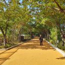 겸재작은도서관 산책로 이미지