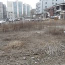 수정로+희망로 네이버블로그
