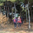 곡성-235 이미지