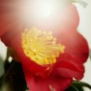 푸에르(PUER) 네이버블로그