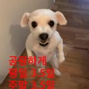 메트로호텔주 네이버블로그