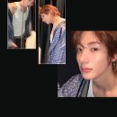 🦕 앤톤 달글 84 🦕 이미지